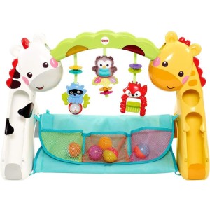 Fisher-price Newborn Toys Ginasio Etapas Cresce Comigo-112961-93595