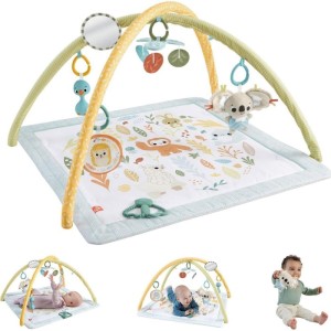 Fisher-price Newborn Toys Ginasio Primeiros Sentidos-112959-36012