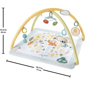 Fisher-price Newborn Toys Ginasio Primeiros Sentidos-112959-60257