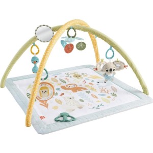 Fisher-price Newborn Toys Ginasio Primeiros Sentidos-112959-69102