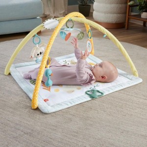 Fisher-price Newborn Toys Ginasio Primeiros Sentidos-112959-80845