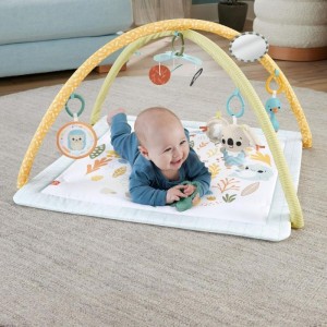 Fisher-price Newborn Toys Ginasio Primeiros Sentidos-112959-83037