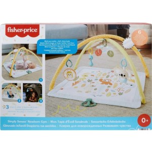 Fisher-price Newborn Toys Ginasio Primeiros Sentidos-112959-85606