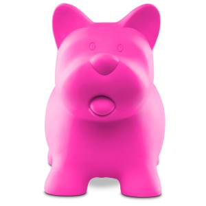 Cofre De Pet De Vinil Coleção Bichinhos-109-25312