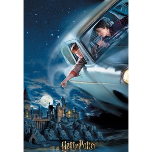 Quebra-cabeca 3d Harry E Rony Harry Potter 300pcs - Br1325-BR1325-13511