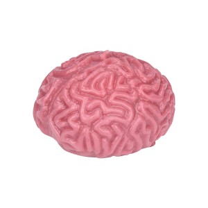 Squishy Brain - Display Com 24pcs - Br1596-BR1596-45299